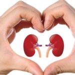 Preventing Chronic Kidney Disease