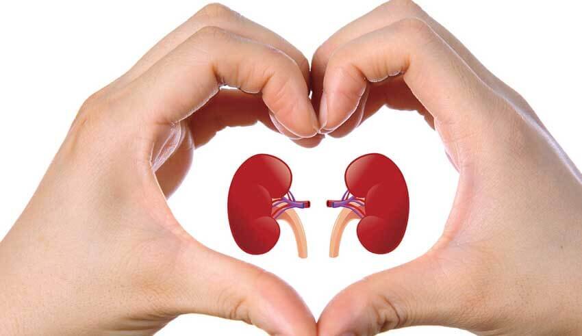 Preventing Chronic Kidney Disease