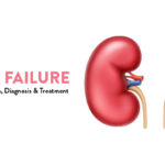 Causes of Chronic Renal Failure