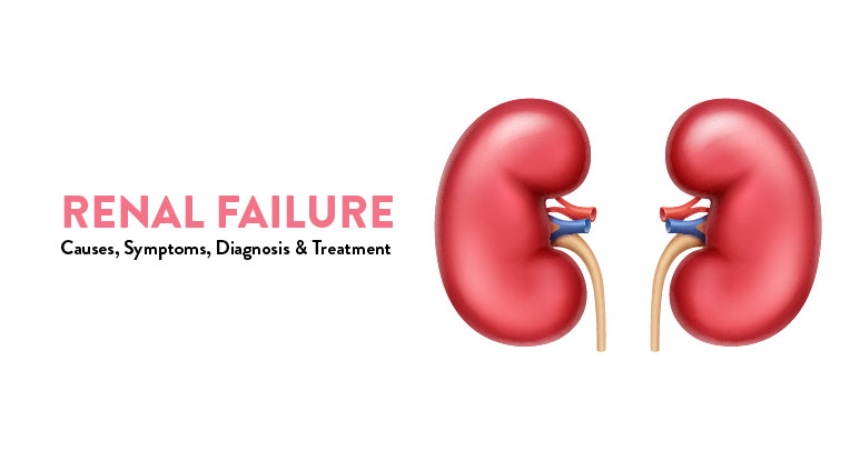 Causes of Chronic Renal Failure