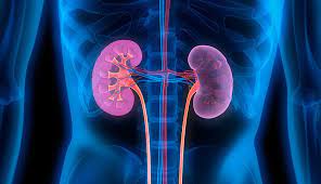 Kidney Disease Treatmen