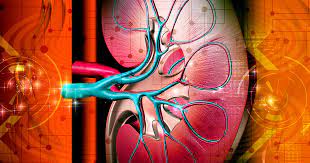 Chronic Kidney Disease